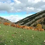 Διαμέρισμα De La Rocha