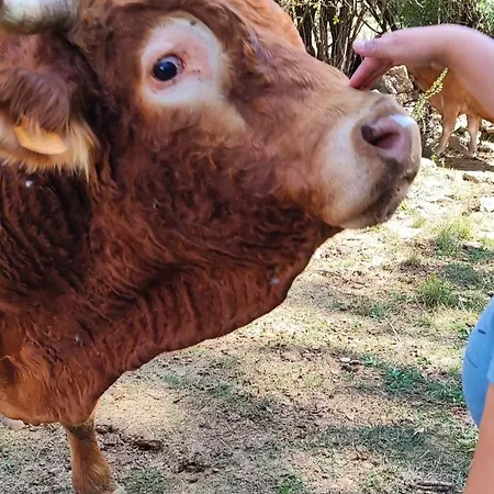 De La Rocha דירה