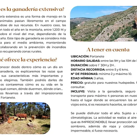 De La Rocha * Fortanete