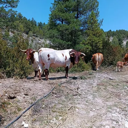 Lägenhet De La Rocha