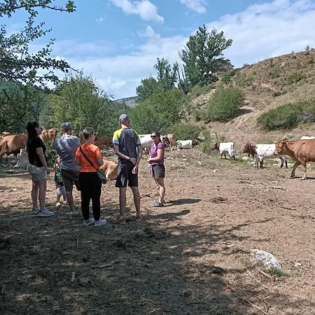 Lägenhet De La Rocha *