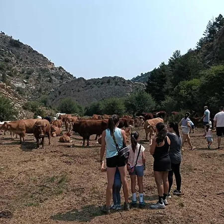 De La Rocha דירה Fortanete