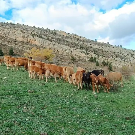 De La Rocha Fortanete