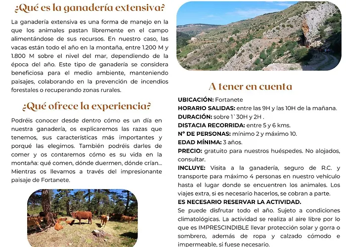 Lägenhet De La Rocha Fortanete