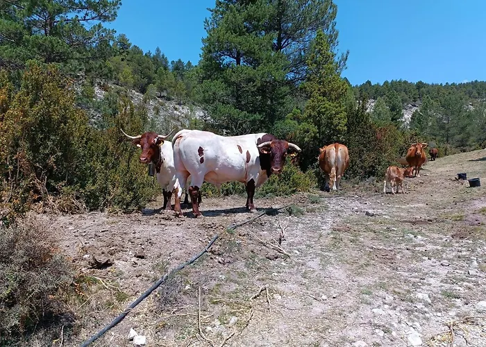 Lägenhet De La Rocha