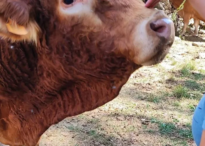 De La Rocha Lägenhet