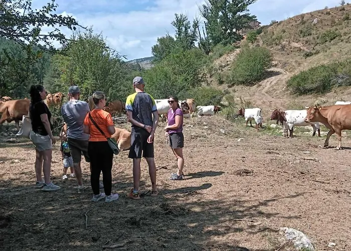 Lägenhet De La Rocha *