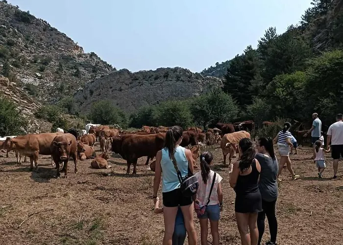 De La Rocha Lägenhet Fortanete