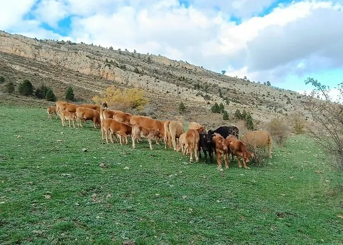 De La Rocha Fortanete